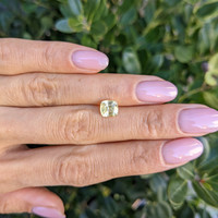 1.53 Ct. Yellow Sapphire from Ceylon (Sri Lanka) Life Style