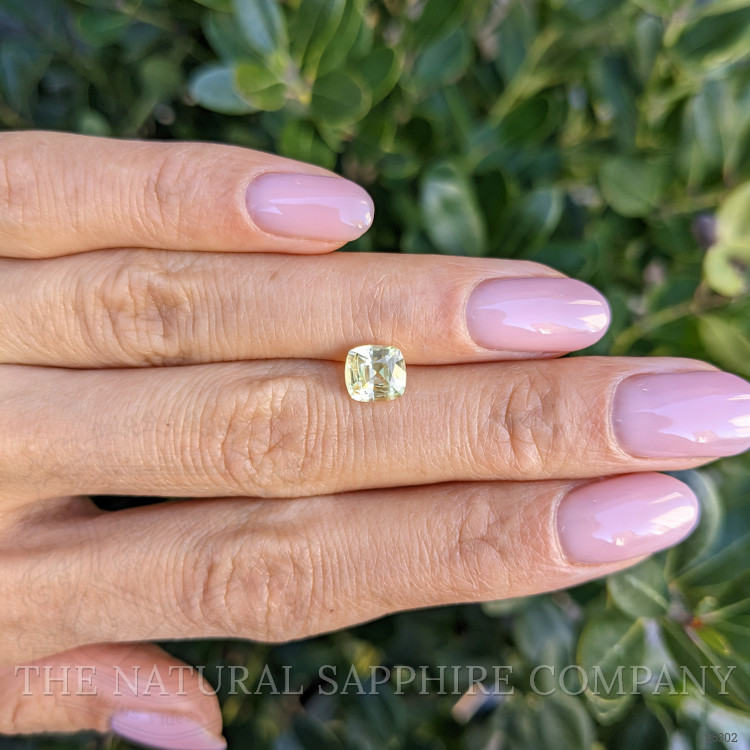 1.53 Ct. Yellow Sapphire from Ceylon (Sri Lanka)