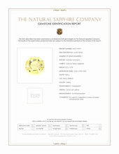 Jewelry Scan Report