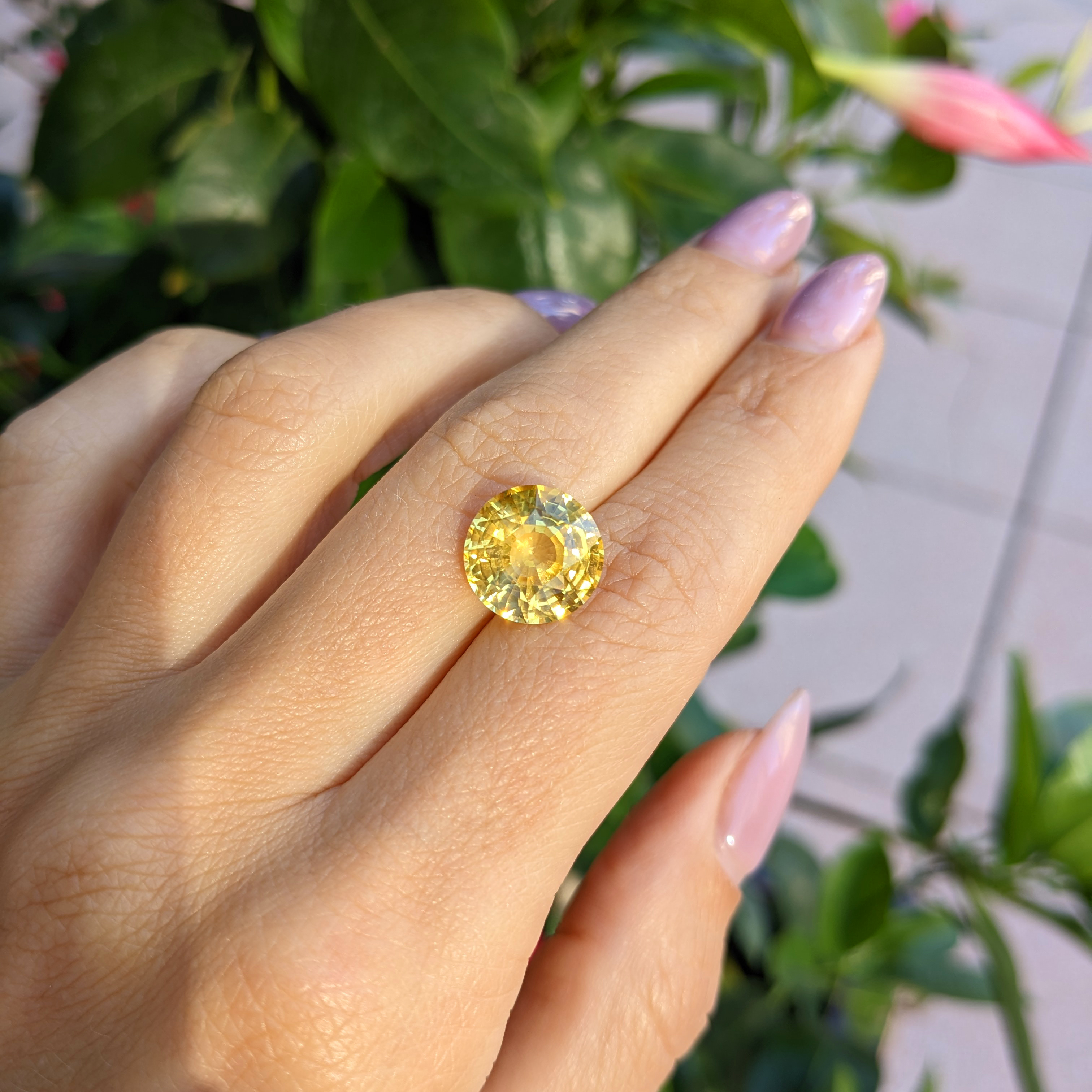 Yellow Men's Sapphire Ring 7.00 Ct. 14K White Gold | The Natural
