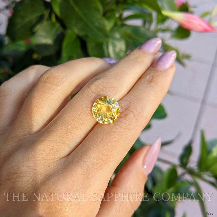 7.00 Ct. Yellow Sapphire from Ceylon (Sri Lanka)
