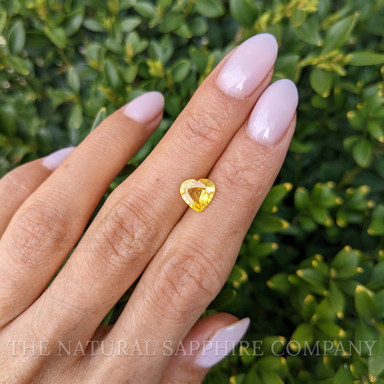 1.54 Ct. Yellow Sapphire from Ceylon (Sri Lanka)