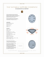 19.37 Ct. Sapphire from Ceylon (Sri Lanka) 3 D Scan Report