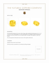 Jewelry Appraisal
