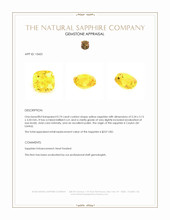 0.74 Ct. Yellow Sapphire from Ceylon (Sri Lanka) Appraisal