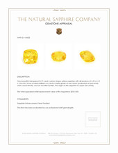 0.79 Ct. Yellow Sapphire from Ceylon (Sri Lanka) Appraisal