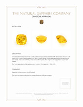 0.97 Ct. Yellow Sapphire from Ceylon (Sri Lanka) Appraisal