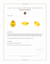 0.83 Ct. Orangish Yellow Sapphire from Ceylon (Sri Lanka) Appraisal