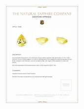 1.03 Ct. Sapphire from Ceylon (Sri Lanka) Appraisal