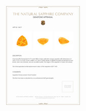 Jewelry Appraisal