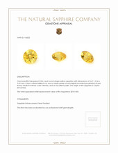 0.84 Ct. Sapphire from Ceylon (Sri Lanka) Appraisal