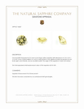 0.53 Ct. Yellow Sapphire from Ceylon (Sri Lanka) Appraisal